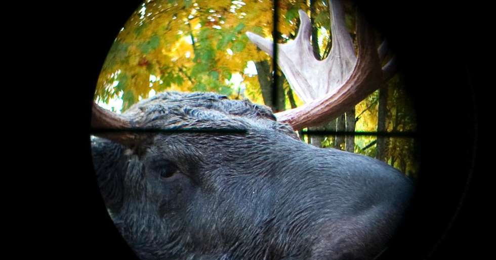 Vær godt forberedt før jakta!